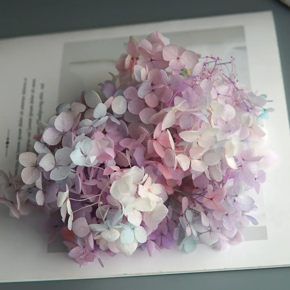 Anna Hydrangea (Color 123-164) Flowers Little Leaves Preserved Hydrangea Home Decor DIY Material Epoxy Resin Handmade Flowers