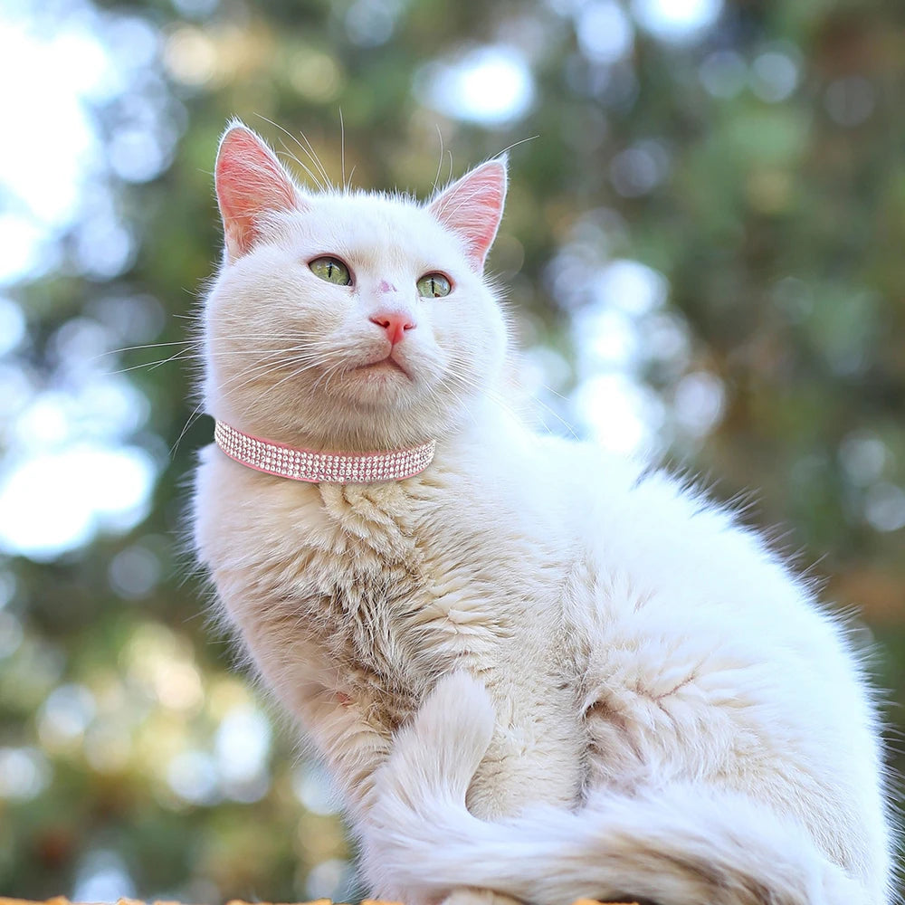 Soft Pink Suede Leather Cat Collar - Cute Bling Rhinestone Design, with Bell & Safety Breakaway Buckle, Adjustable XS/S Sizes