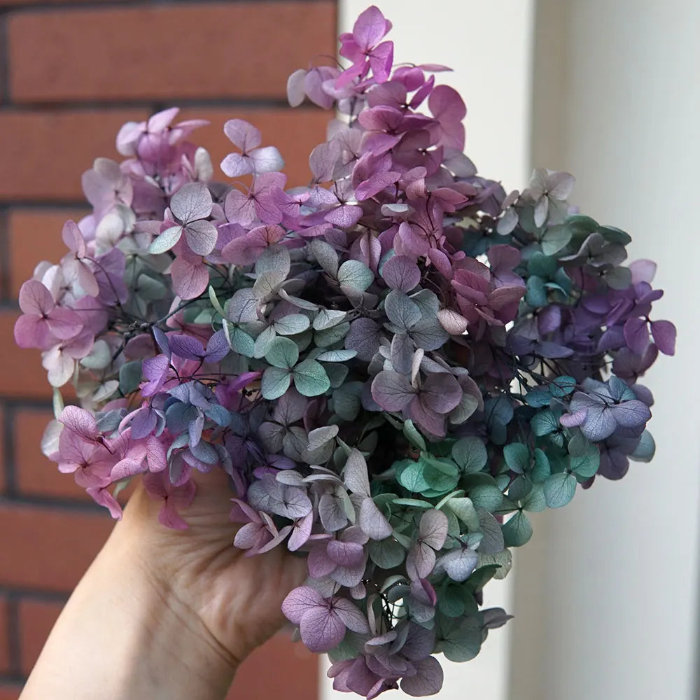 Anna Hydrangea (Color 123-164) Flowers Little Leaves Preserved Hydrangea Home Decor DIY Material Epoxy Resin Handmade Flowers