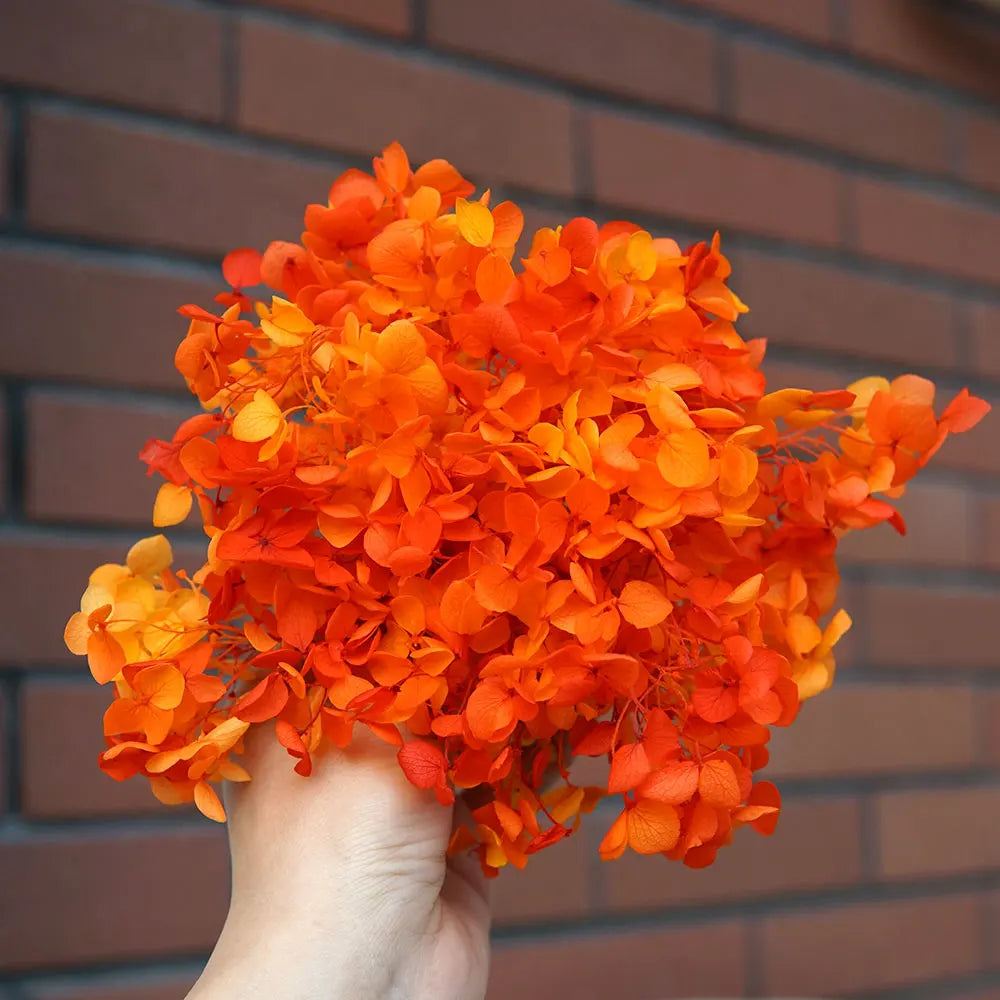 Anna Hydrangea (Color 123-164) Flowers Little Leaves Preserved Hydrangea Home Decor DIY Material Epoxy Resin Handmade Flowers