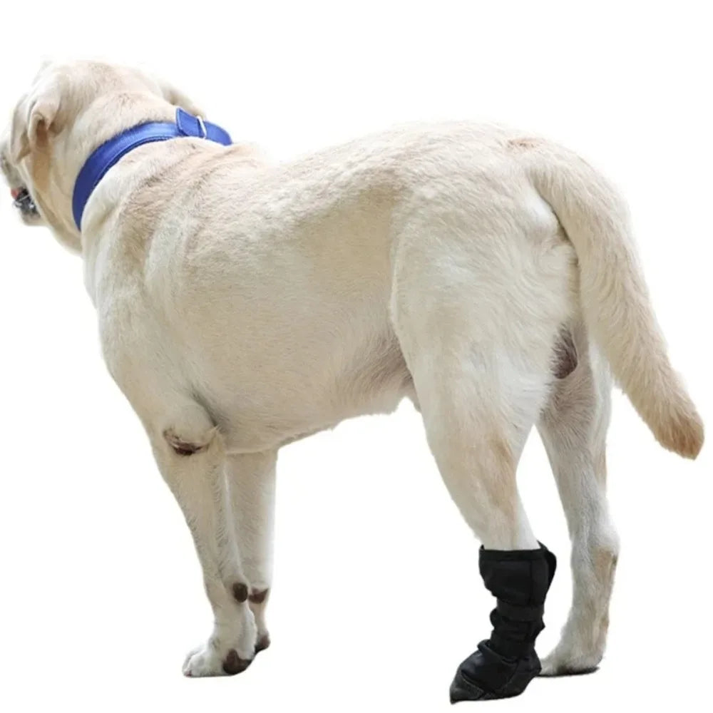Dog Wound Recovery Boot Paws Protector Waterproof Dog Shoe for Post Surgical Recovery Healing Protections