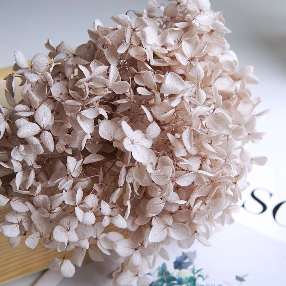 Anna Hydrangea (Color 123-164) Flowers Little Leaves Preserved Hydrangea Home Decor DIY Material Epoxy Resin Handmade Flowers
