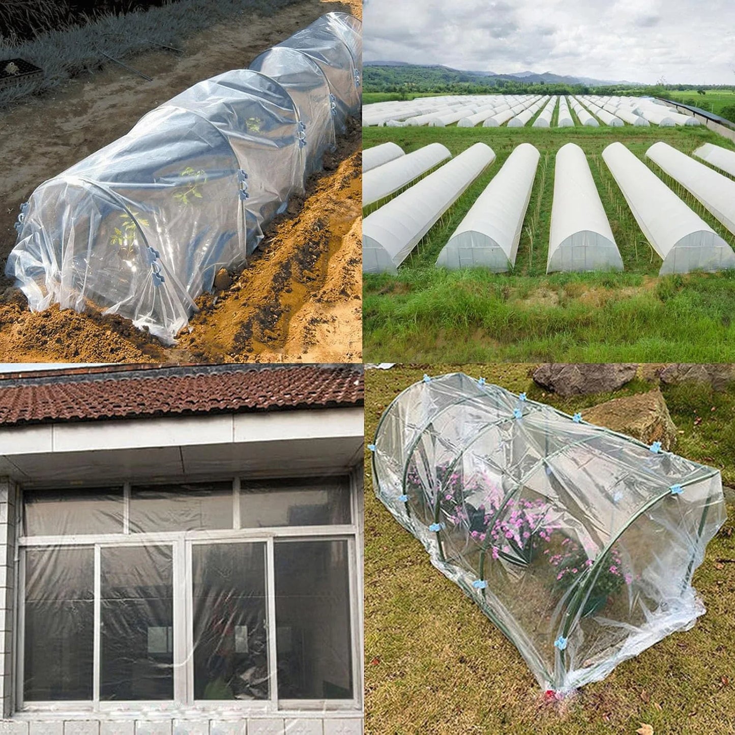 Transparent Heat Preservation, Moisture Preservation And Frost Prevention Film For Greenhouse Film Versatile Growing Application