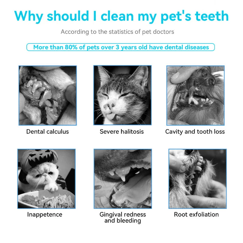 1pc Soft Pet Dog Toothbrush for Effective Oral Cleaning and Fresh Breath