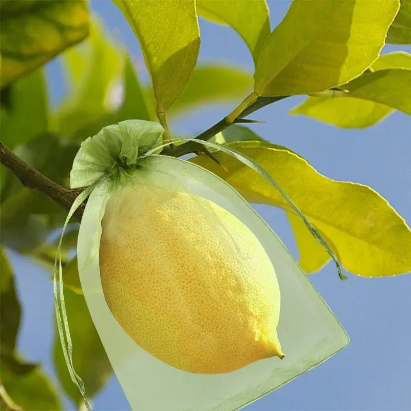 50/100 Fruit Protection Bags Anti-Bird Garden Netting Bags Strawberry Grapes Mesh Bag Plante Vegetable Netting Cover Garden Tool