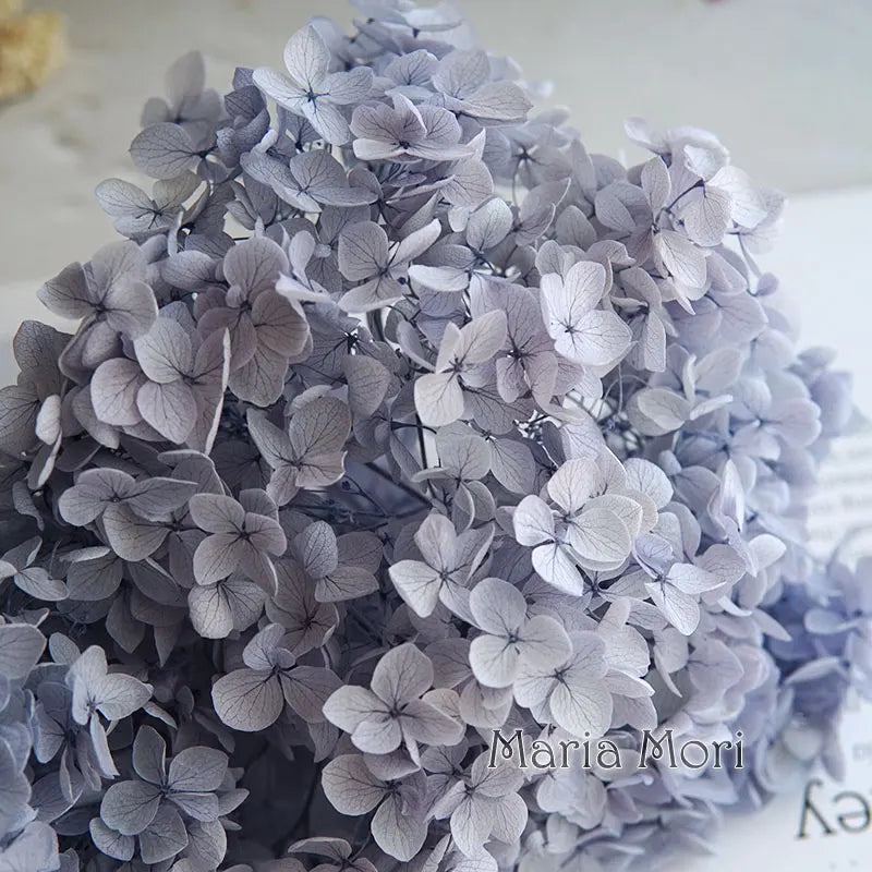 Anna Hydrangea (Color 123-164) Flowers Little Leaves Preserved Hydrangea Home Decor DIY Material Epoxy Resin Handmade Flowers