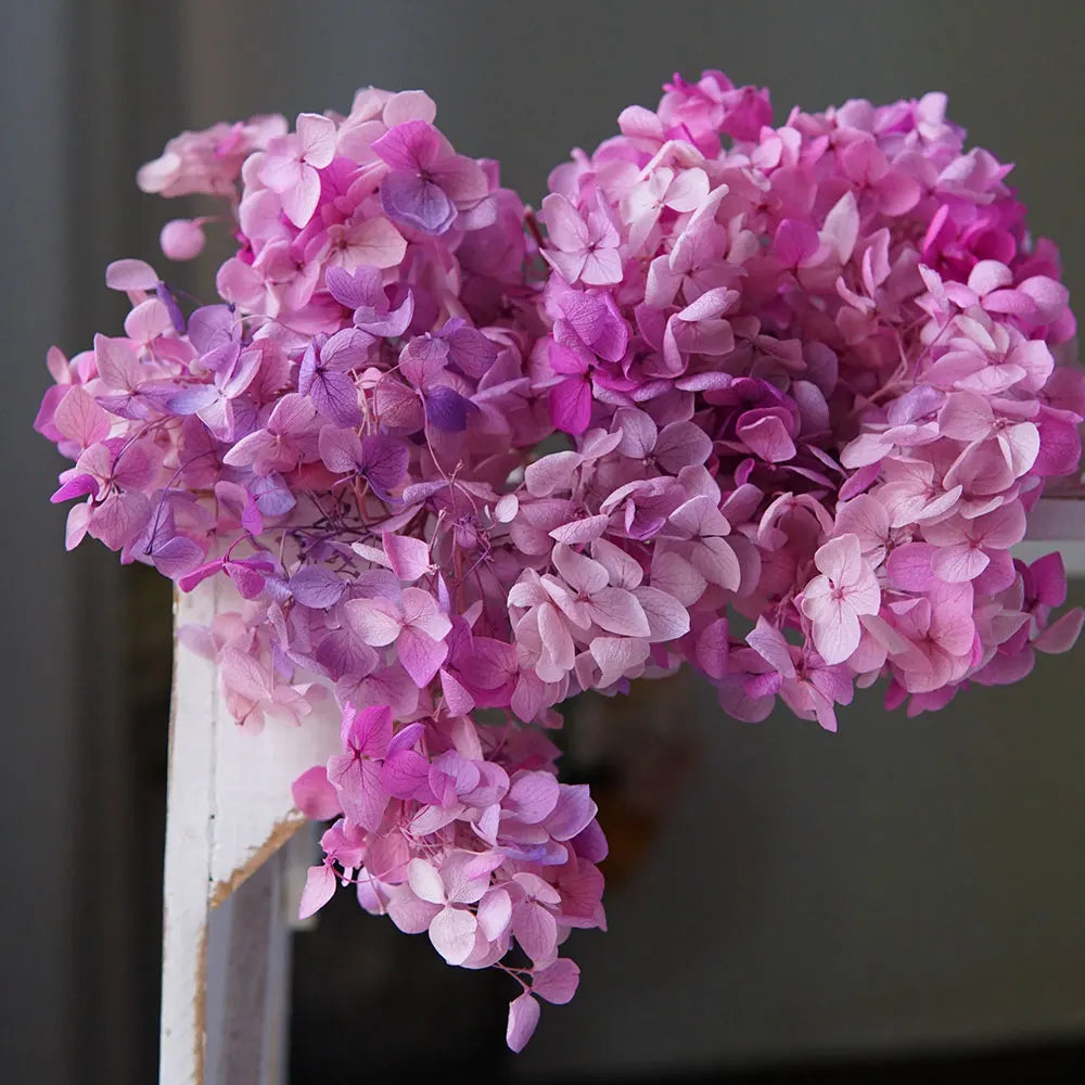 Anna Hydrangea (Color 123-164) Flowers Little Leaves Preserved Hydrangea Home Decor DIY Material Epoxy Resin Handmade Flowers