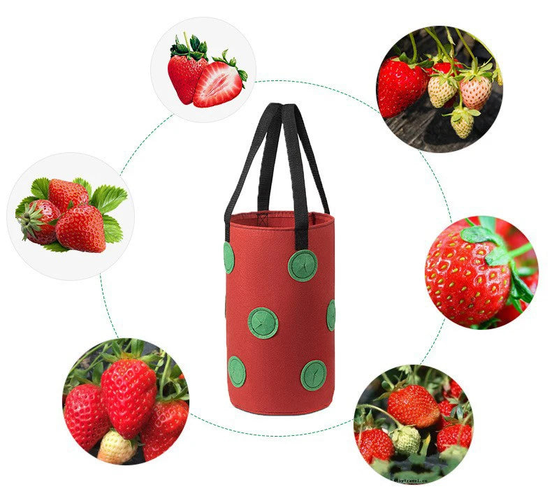 Multi-Function 13 Holes Felt Hanging Tomato Grow Bag Planter Strawberry Vegetable Flower Plant Grow Bags Garden Plant Pot