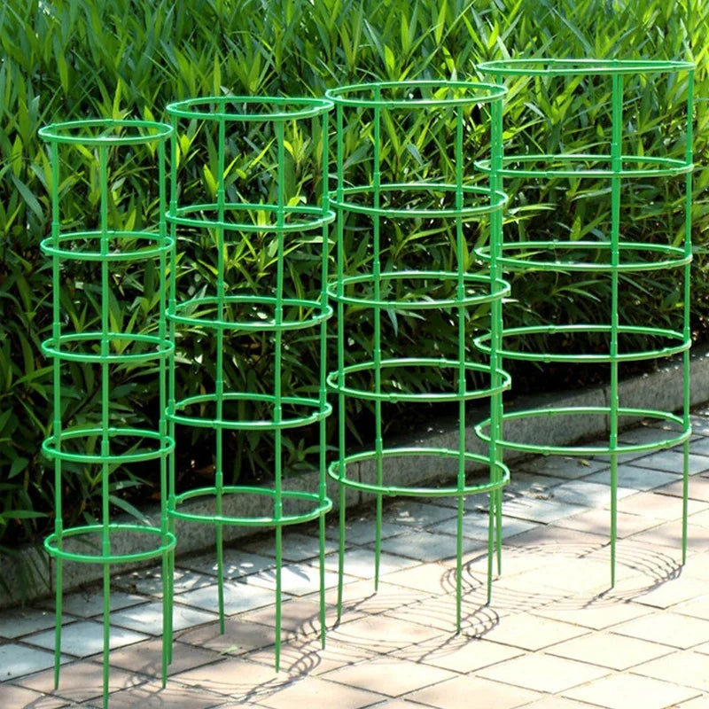 Green Plant Support Pile Frame Greenhouse Arrangement Semicircle Fixed Rod Indoor Flower Plants Vine Climbing Bracket Hock Pen