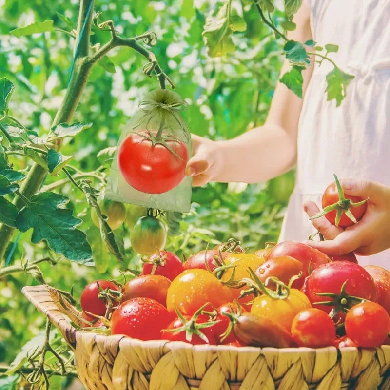 50/100 Fruit Protection Bags Anti-Bird Garden Netting Bags Strawberry Grapes Mesh Bag Plante Vegetable Netting Cover Garden Tool