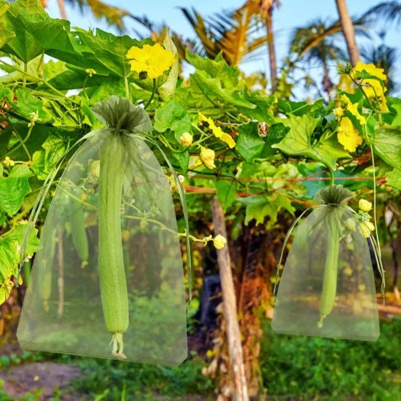 50/100 Fruit Protection Bags Anti-Bird Garden Netting Bags Strawberry Grapes Mesh Bag Plante Vegetable Netting Cover Garden Tool