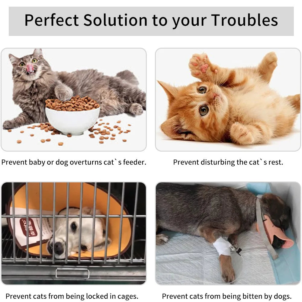 Cat Door Holder Latch Adjustable Dog Door Stopper Elastic Gate Lock Flex Latch Strap Keep Dog Out From Entering Pet Gate Supply