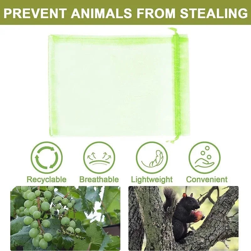 50/100 Fruit Protection Bags Anti-Bird Garden Netting Bags Strawberry Grapes Mesh Bag Plante Vegetable Netting Cover Garden Tool