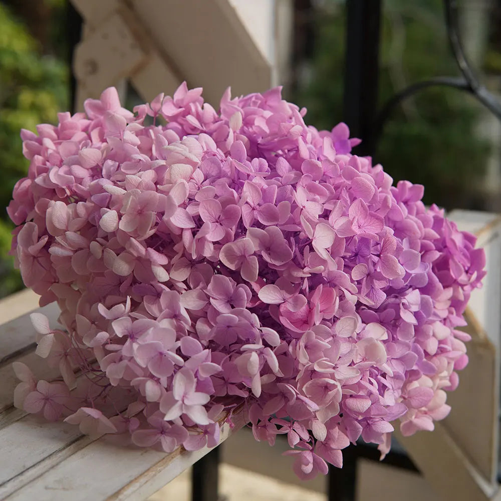 Anna Hydrangea (Color 123-164) Flowers Little Leaves Preserved Hydrangea Home Decor DIY Material Epoxy Resin Handmade Flowers