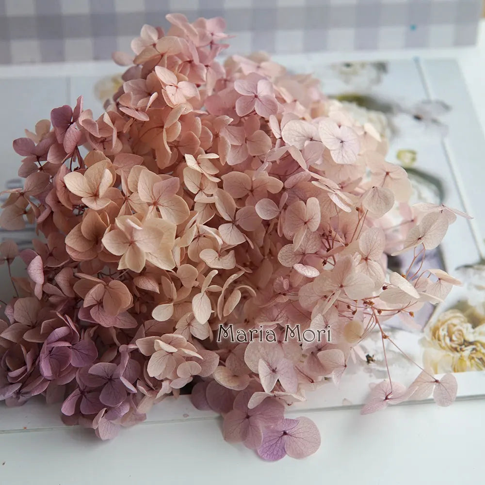 Anna Hydrangea (Color 123-164) Flowers Little Leaves Preserved Hydrangea Home Decor DIY Material Epoxy Resin Handmade Flowers