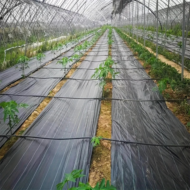 Heavy weed blocking ground cover, made of black PP material, suitable for garden and lawn care, UV resistant