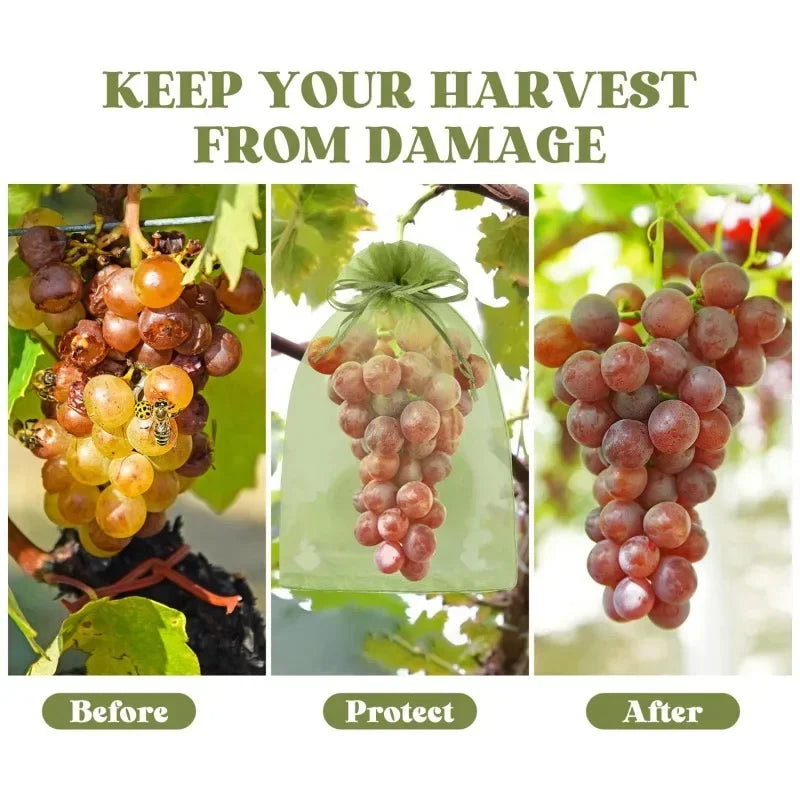 50/100 Fruit Protection Bags Anti-Bird Garden Netting Bags Strawberry Grapes Mesh Bag Plante Vegetable Netting Cover Garden Tool