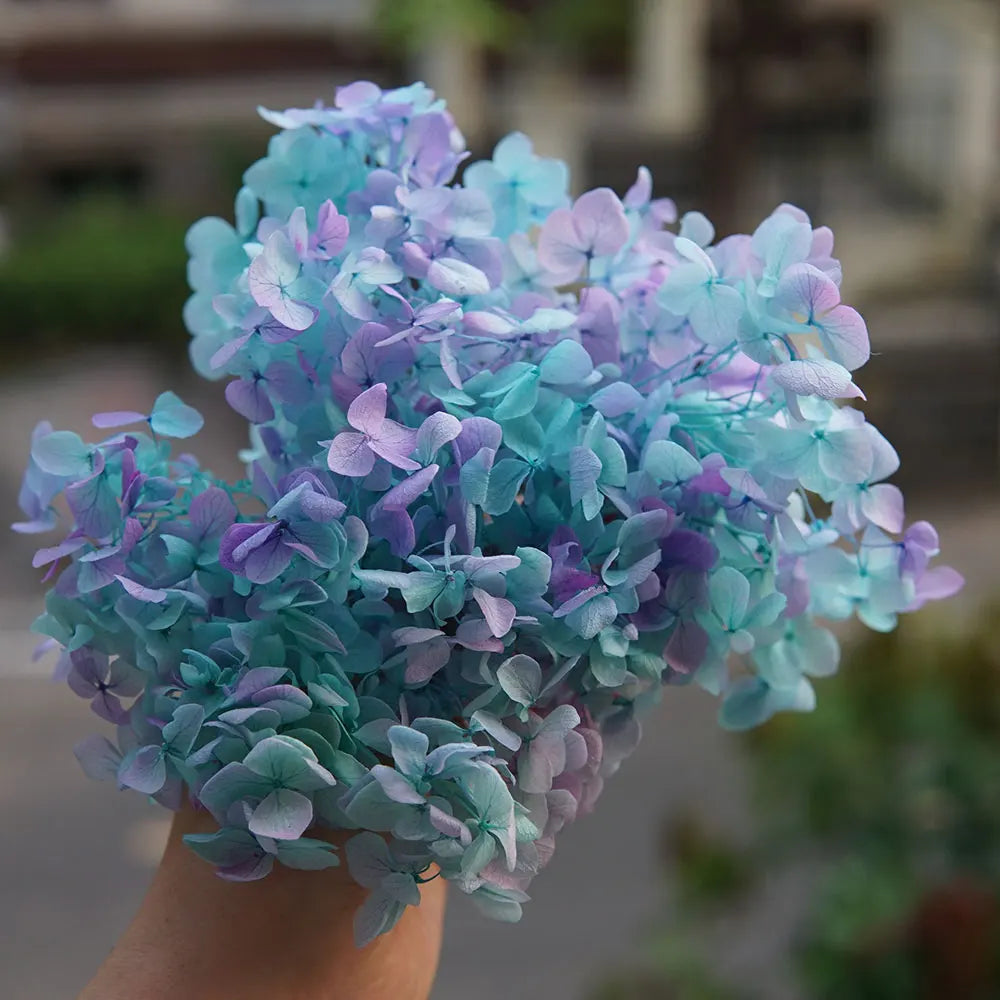 Anna Hydrangea (Color 123-164) Flowers Little Leaves Preserved Hydrangea Home Decor DIY Material Epoxy Resin Handmade Flowers
