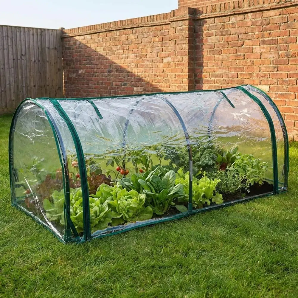 Transparent Mini Plant Greenhouse Plastic Waterproof Insulation Cover Bird-proof Efficient Protect Plant Grow Tent Backyard