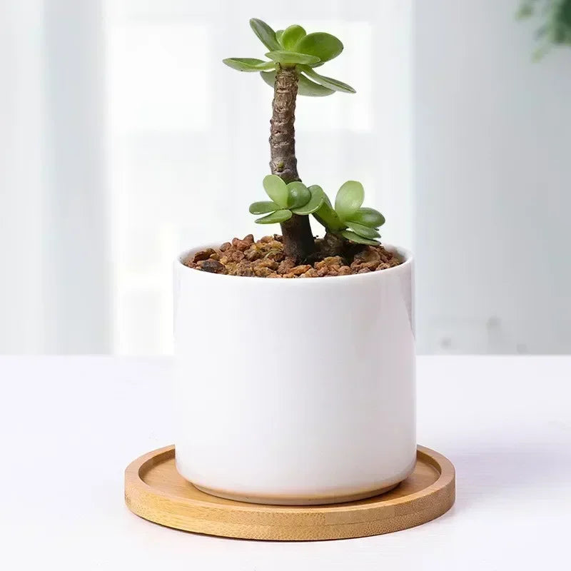 Multi Bamboo Tray Wood Saucer Flower Pot Tray Cup Pad Coaster Plate Kitchen Decorative Plate Creative Coaster Coffee Cup Mat