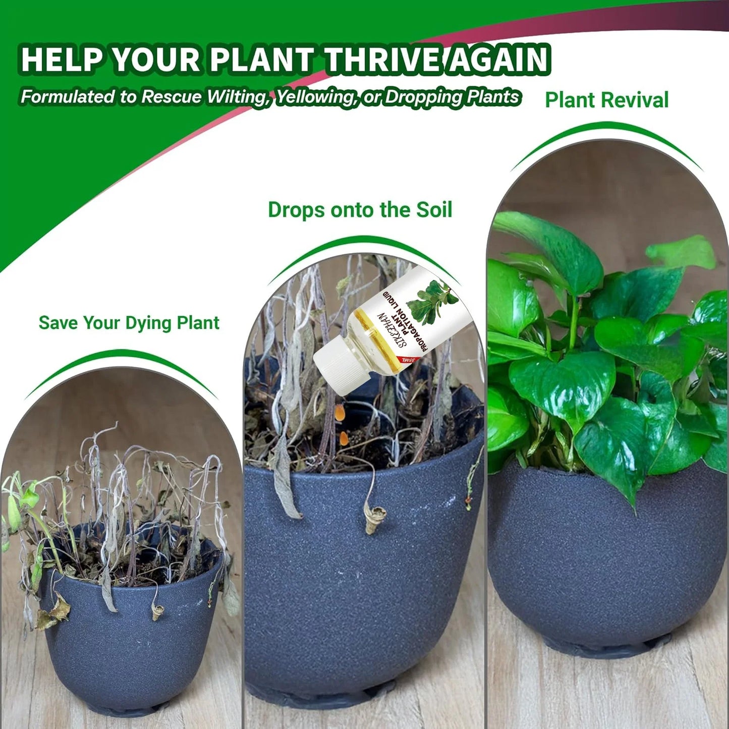 Rapid Rooting Liquid Hormone, High-Efficiency Plant Propagation Solution for Faster Root Growth & Struggling Houseplant Recovery