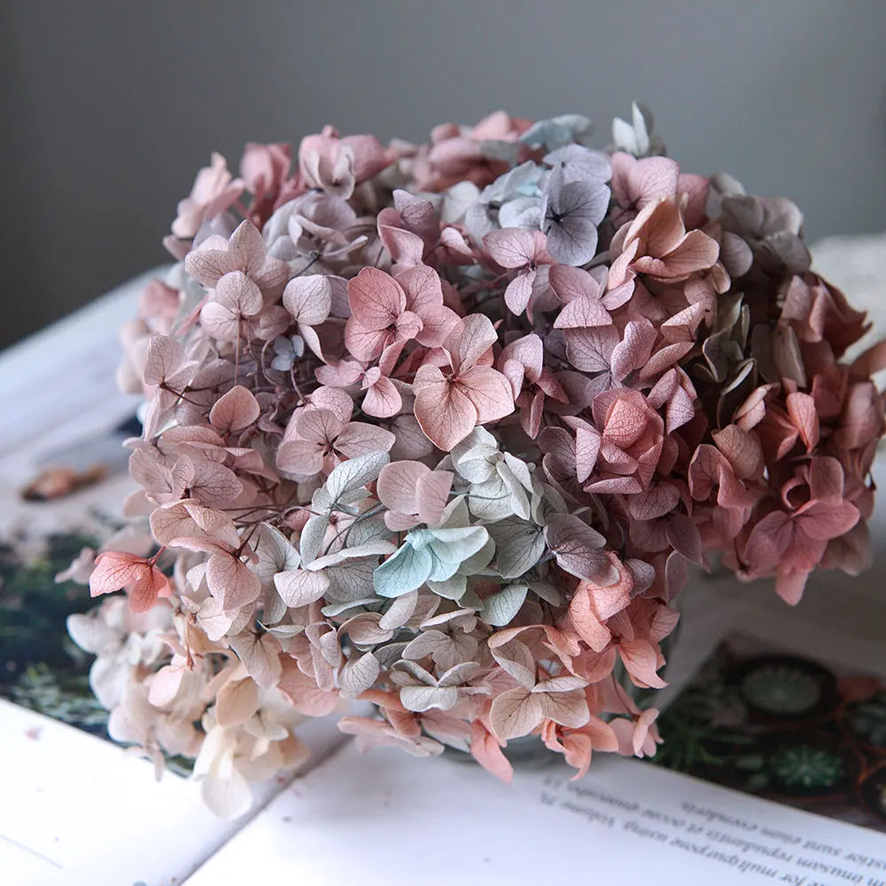 Anna Hydrangea (Color 123-164) Flowers Little Leaves Preserved Hydrangea Home Decor DIY Material Epoxy Resin Handmade Flowers