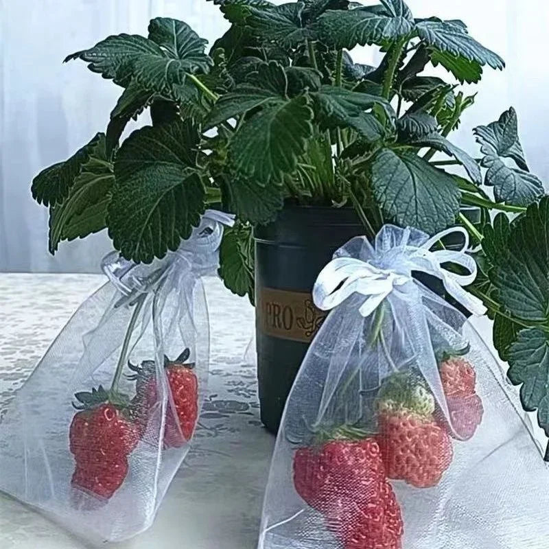 50/100 Fruit Protection Bags Anti-Bird Garden Netting Bags Strawberry Grapes Mesh Bag Plante Vegetable Netting Cover Garden Tool