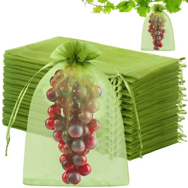 50/100 Fruit Protection Bags Anti-Bird Garden Netting Bags Strawberry Grapes Mesh Bag Plante Vegetable Netting Cover Garden Tool