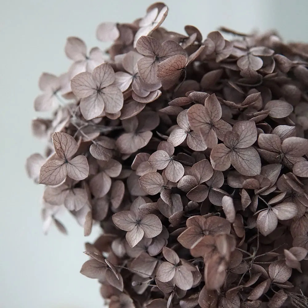 Anna Hydrangea (Color 123-164) Flowers Little Leaves Preserved Hydrangea Home Decor DIY Material Epoxy Resin Handmade Flowers