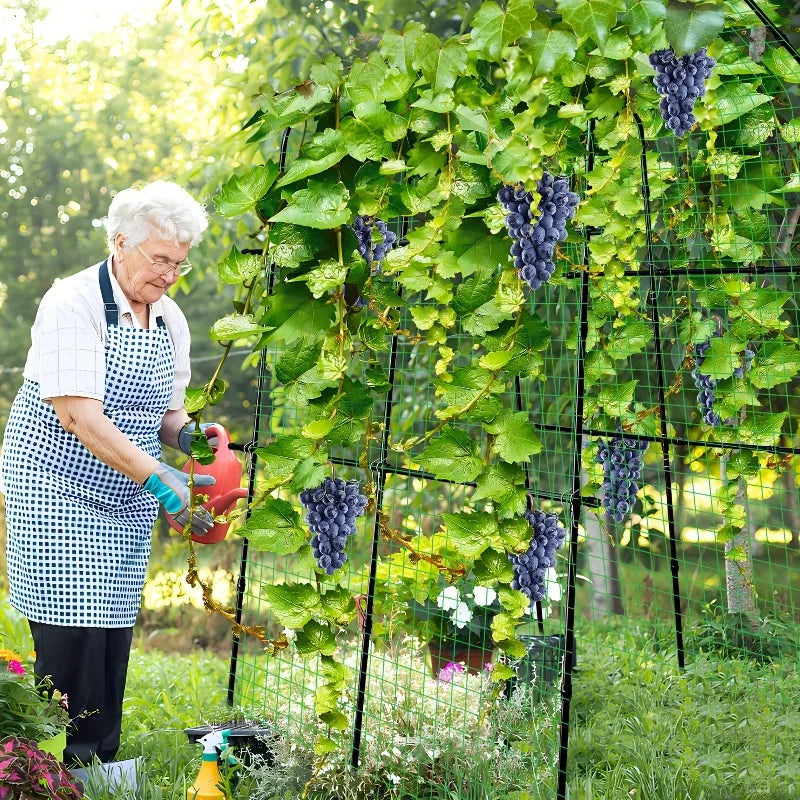 1Pcs Nets Garden Arch Trellis 71Inch Plant Climbing Tunnel Net Outdoor Vine Fruit Vegetable Flower Support Net for Lawn Backyard