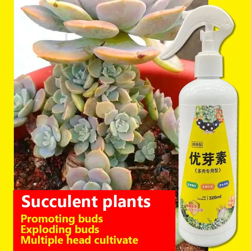 NEW Succulent Plant Eugenin Promotes Budding, Dwarf Fat, Prevents Leggy Organic Granules 320ml