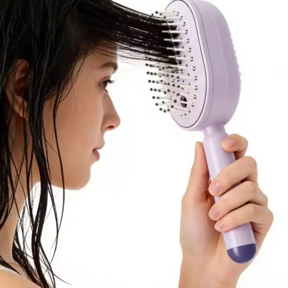 Electric Spray Air Cushions Massage Comb 3 in 1 Self Cleaning Steam Essential Oil Brush Rechargeable Spray Scalp Massager Combs