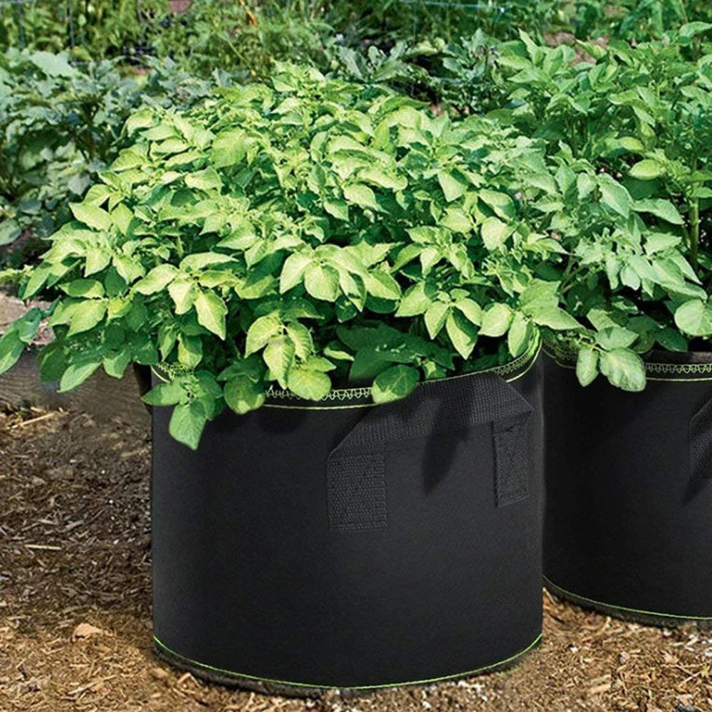 Fabric Plant Pots Grow Bags 3/5/7/10 Gallon Gardening Vegetable Tomato Strawberry Growing Planter Garden Potato Planting Pots