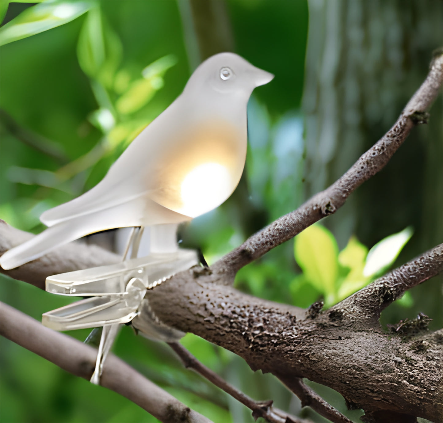 Clip-On Bird Decoration with Solar Light  Set of 5