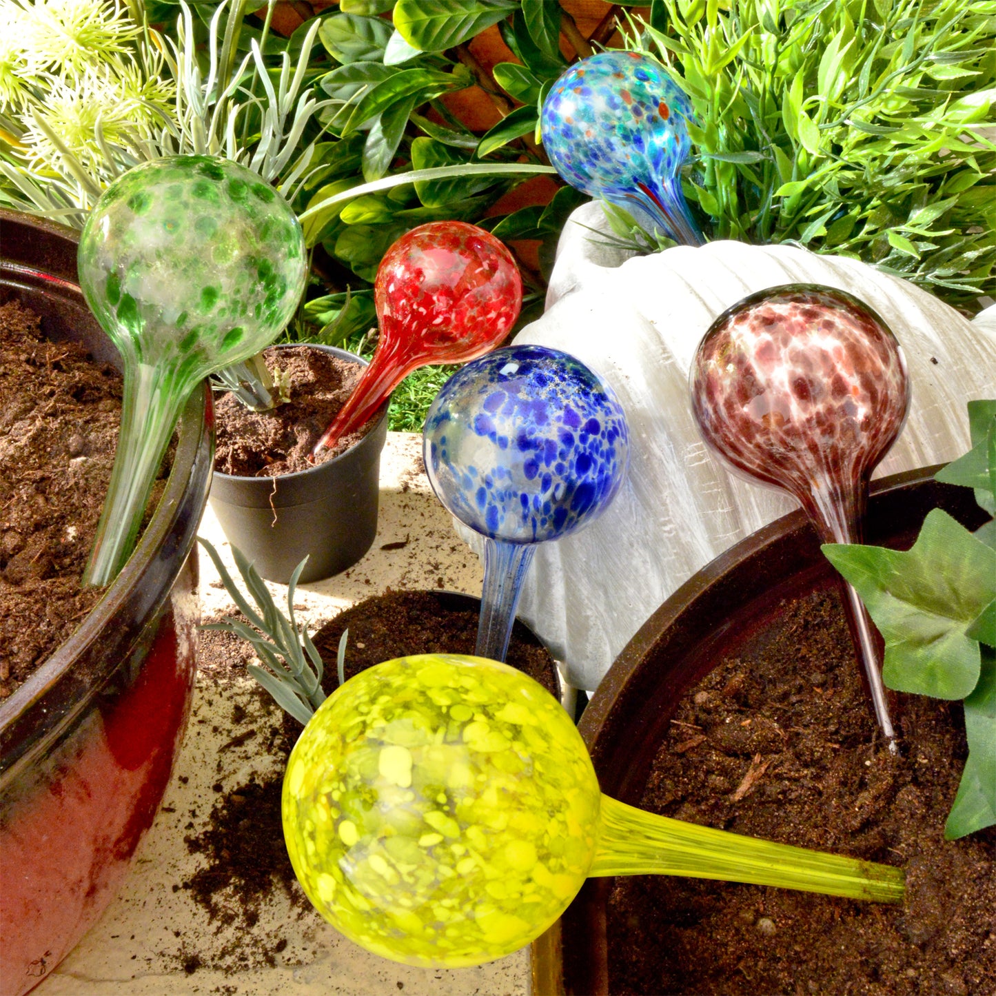 Watering Spheres (set of 6)