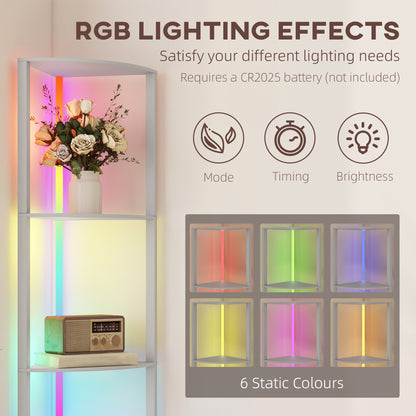 HOMCOM RGB LED Floor Lamp with Shelves, 4-Tier Dimmable Standing Lamp with Adjustable Brightness and Remote Control, Modern Corner Display Shelf Unit for Living Room Bedroom Office, Grey
