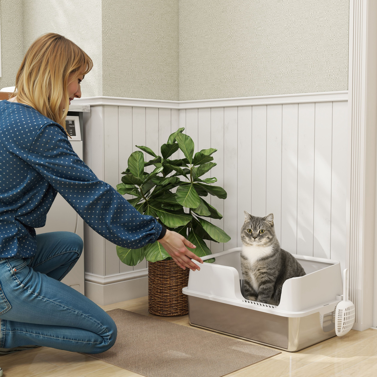 Cat Litter Box