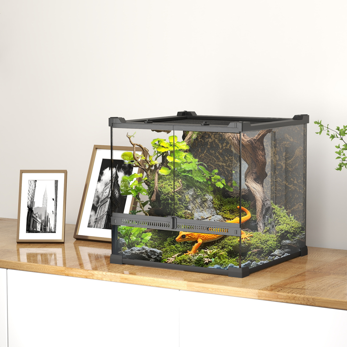 Reptile Glass Terrace