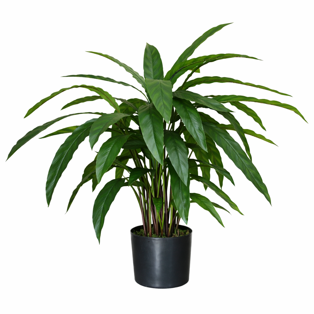 60cm Artificial Calathea Evergreen Plant