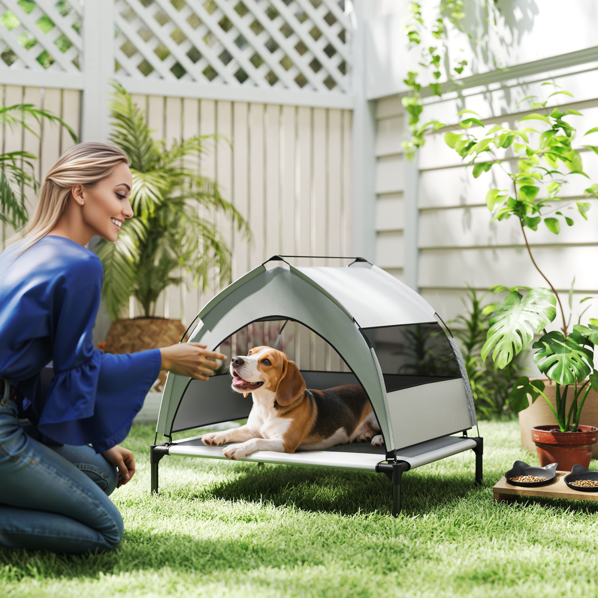 Dog House