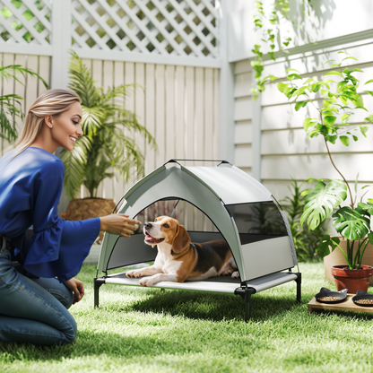Dog House