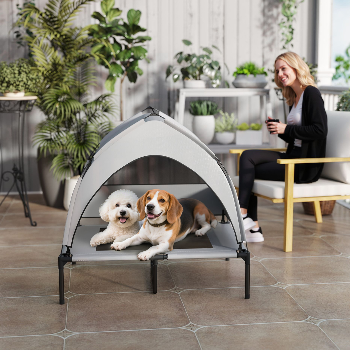 Dog House
