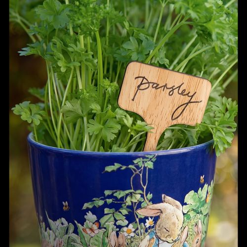 Plant Sign with a Pen Set of 50