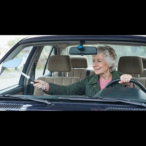Windscreen Buddy (set of 2)