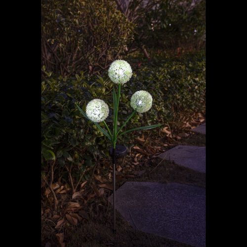 Solar Allium Bloom