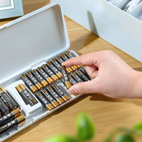 Battery Storage & Tester Box