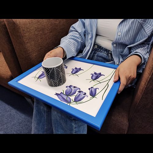 Lap-Desk Set of 2 Poppy & Bluebell Design