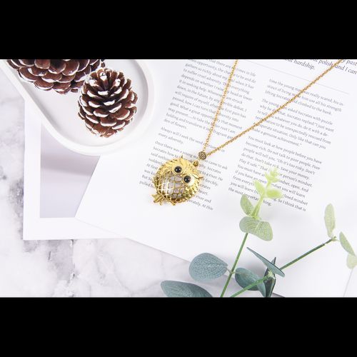 Owl Necklace with Magnifier