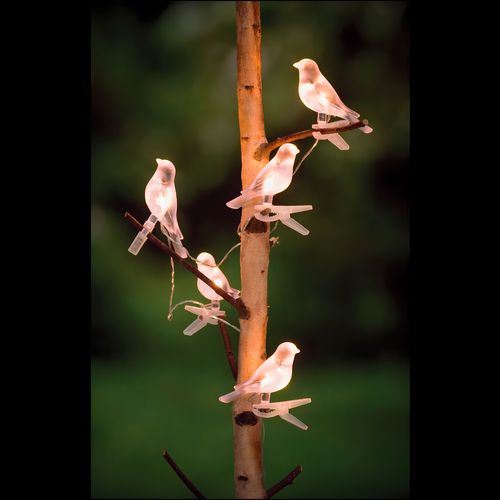 Clip-On Bird Decoration with Solar Light  Set of 5