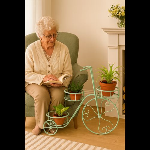 Tricycle Plant Stand
